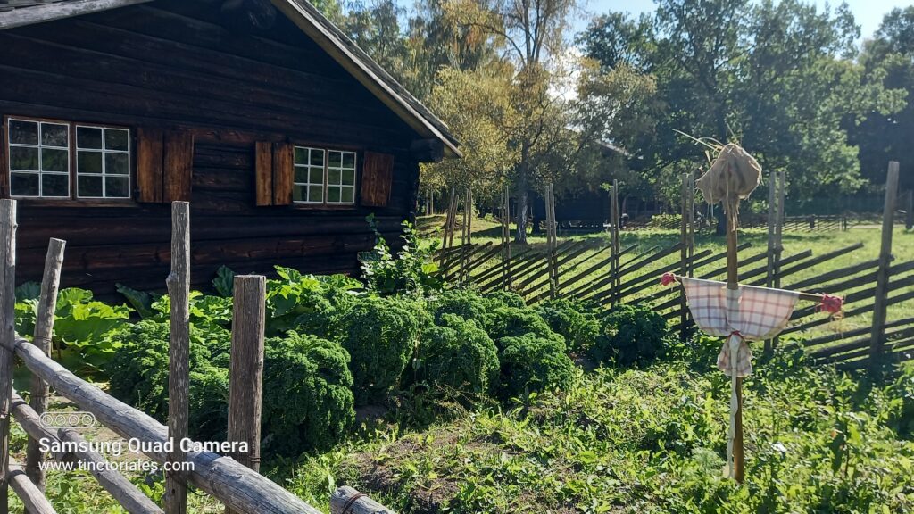 Huerta, Museo Etnográfico de Oslo, Noruega, aprender de las plantas