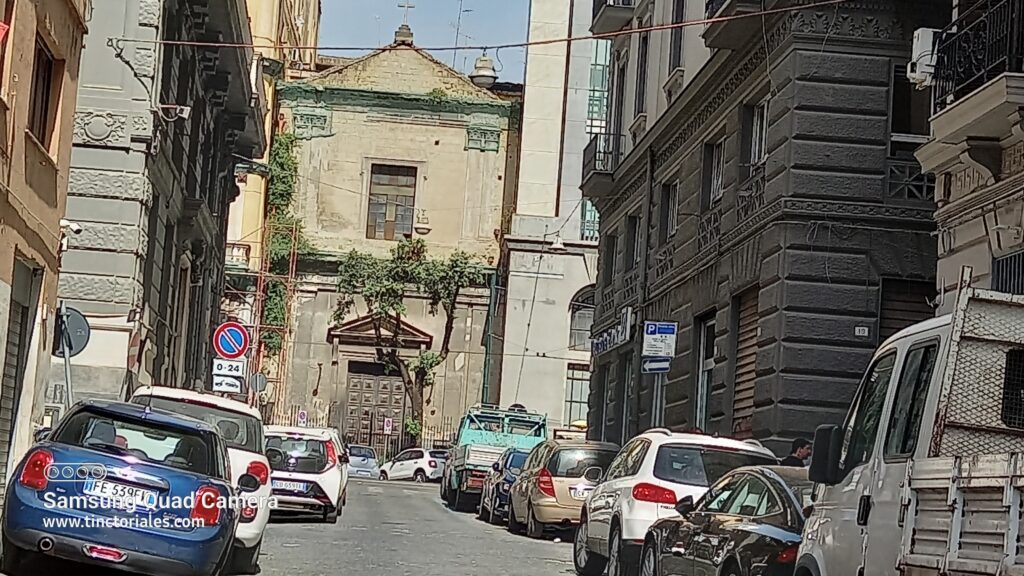 Arbusto brotando de una pared en Nápoles, Italia