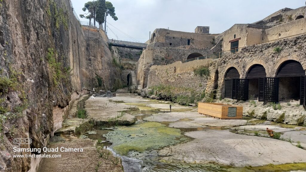 Este muro de Hercolanum, Italia, son muy atractivos para la plantas