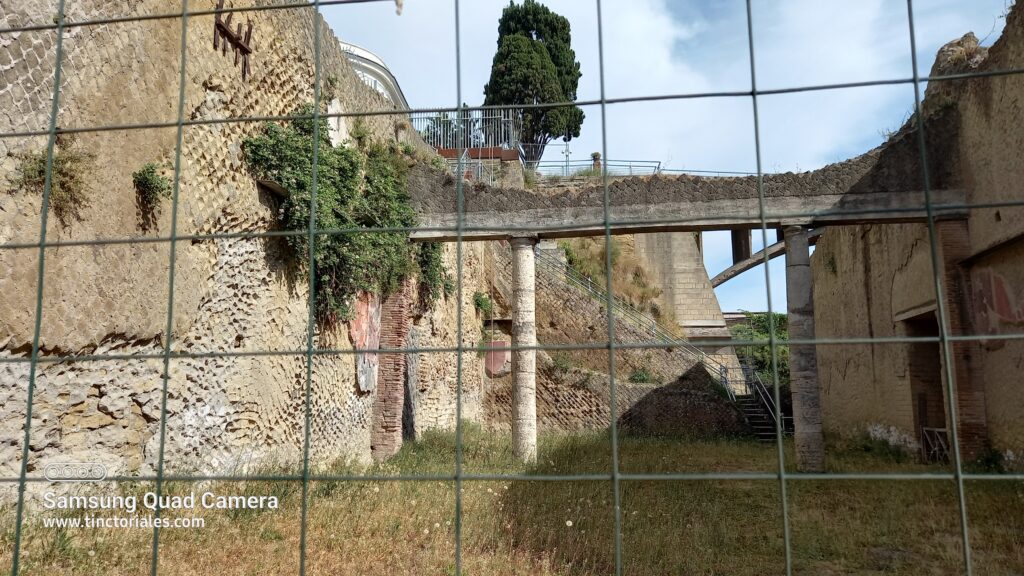 Alcaparra en un muro de las ruinas de Herculanum