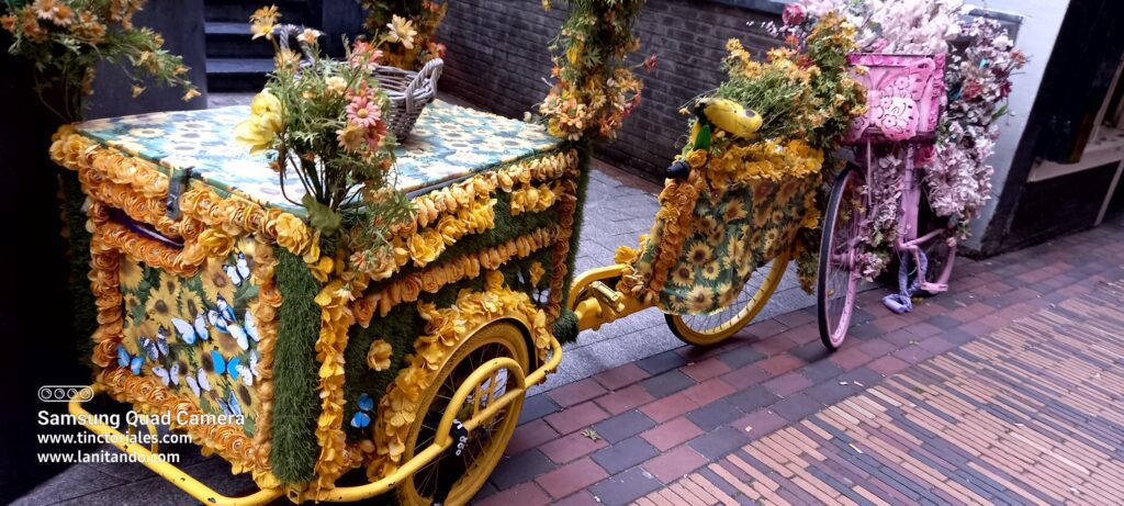 Aquí. las flores adornan las bicicletas