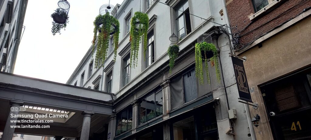 Plantas colgando en una calle del centro de Brucelas, Bélgica