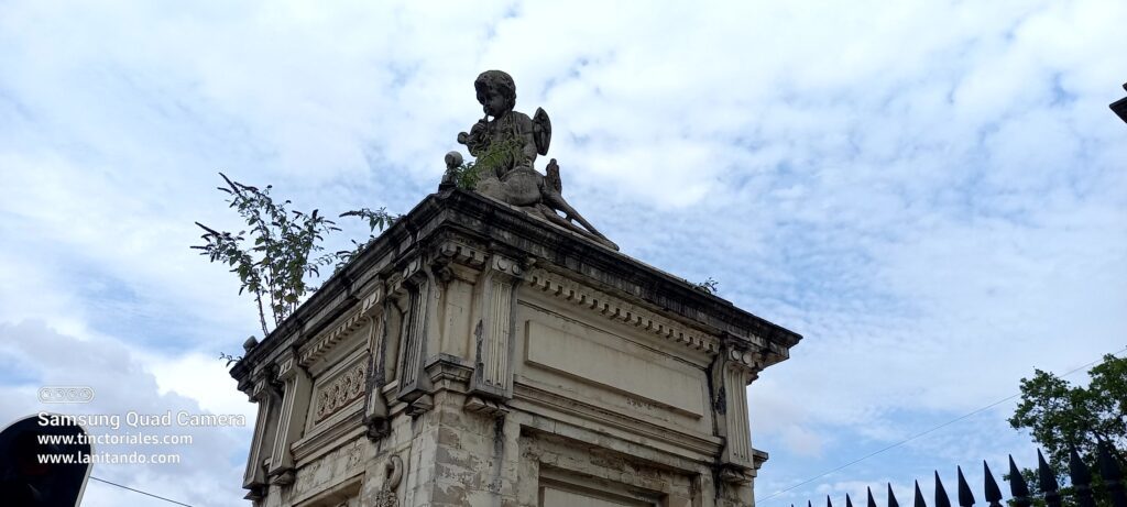 Cerca del Museo Magritte, una columna de entrada de un parque está albergando unas matas de mático