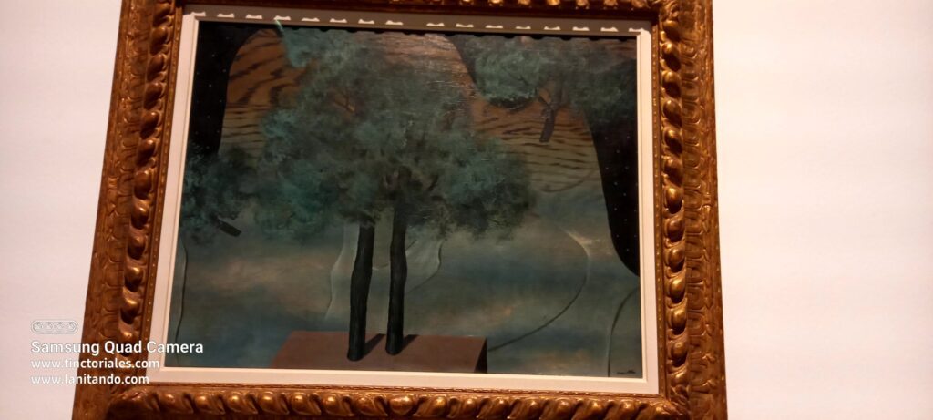 En el Museo, una obra de Magritte, se llama "El cúltivo de las ideas"