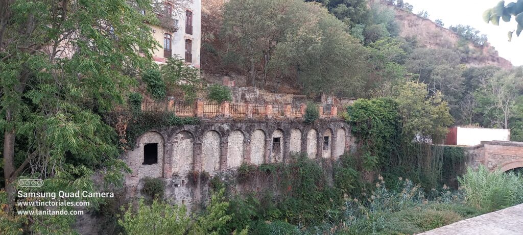 Plantas de muros a profusión