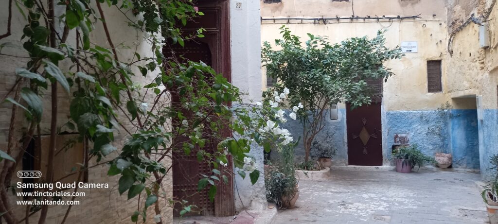 En la Medina de Fes, Marruecos, se cuidan los arboles en las calles