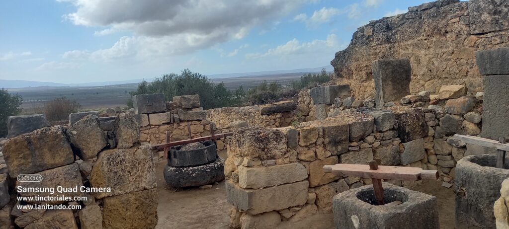 Panadería en Volubilis