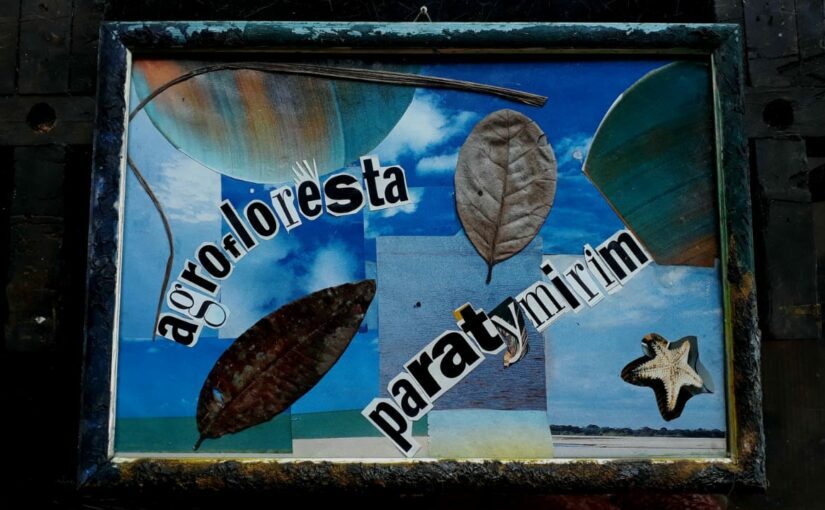 Viaje a agroforesta paraty mirim